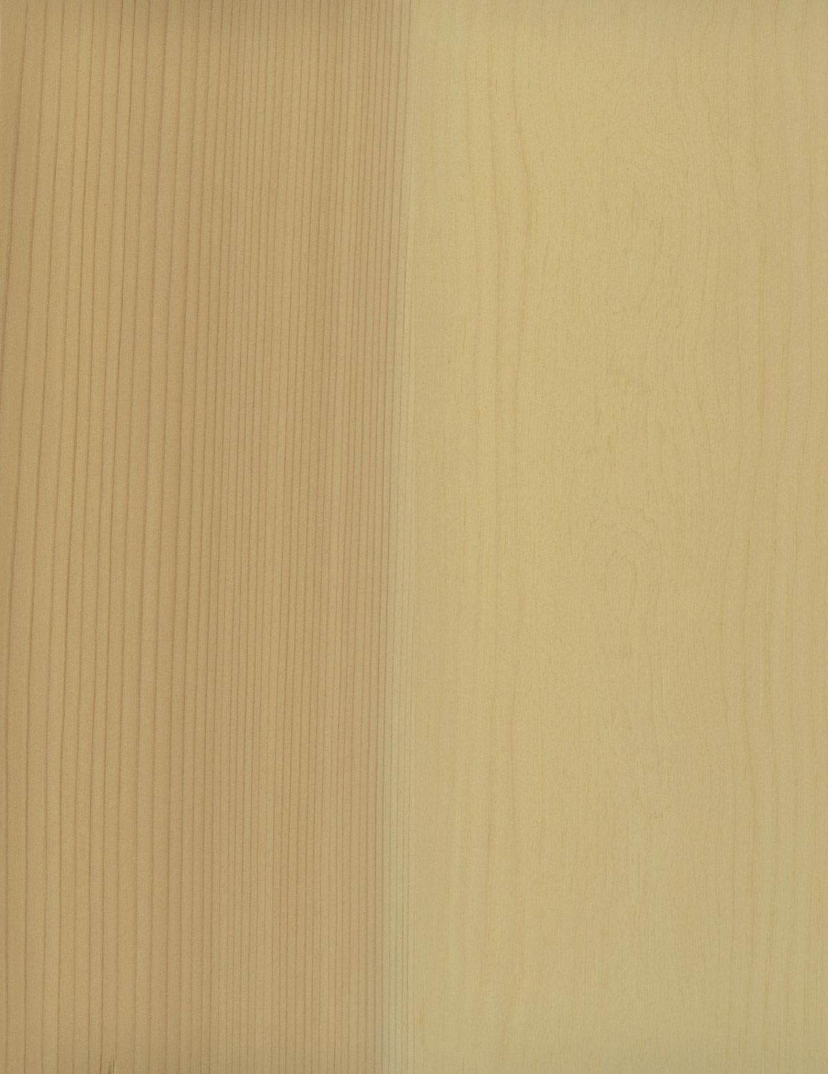 Brio - Huile pour murs et plafonds en bois - Prato-Verde - Huiles